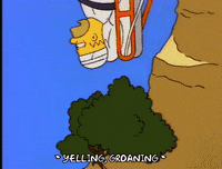 18+ Giphy Homer Simpson Doh Gif