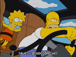 Scared Lisa Simpson GIF by The Simpsons