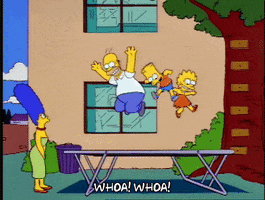 200.gif?cid=fc005b08a8cbf6d97bf81a7755617e268073d9162f9abd55&rid=200.gif&ct=g