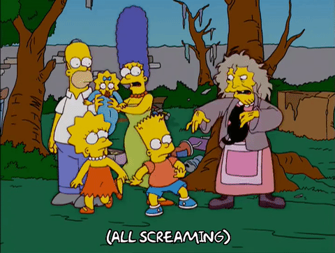 Homer Simpson Crazy Cat Lady GIF - Find & Share on GIPHY