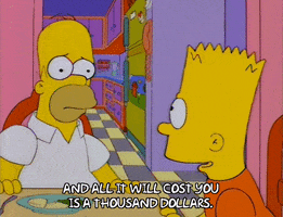 200.gif?cid=fc005b088e04b7cf60d6ac37fa5f8807ed8af504edbc2da4&rid=200.gif&ct=g