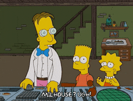 200.gif?cid=fc005b0898e6e1e7db34fe6eb5fefd37502e465f884fd6e2&rid=200.gif&ct=g