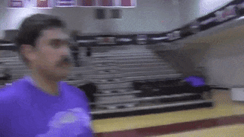 big cat mustache GIF by Barstool Sports