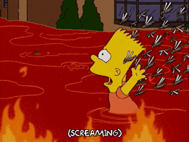 200.gif?cid=fc005b08c60e58fff763e86c005bf71d2415ff342e264a15&rid=200.gif&ct=g