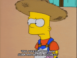 200.gif?cid=fc005b082d4e4cf8fadeaec4c83ea98d430042cc05f3ca8e&rid=200.gif&ct=g