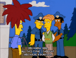 200.gif?cid=fc005b081131eb26a223d8a4a096a6c62c205a2fa392c340&rid=200.gif&ct=g