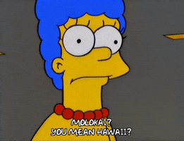 200.gif?cid=fc005b0856ad501d12be96411b0903221db5c02152f2a111&rid=200.gif&ct=g