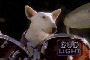 Party Animal Drums GIF