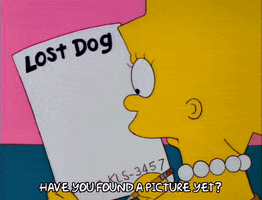 Season 3 Questioning GIF by The Simpsons