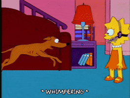 Season 4 Dog GIF by The Simpsons