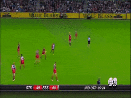callan  GIF