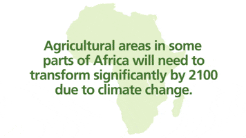 cgiarclimate africa climate change agriculture food security GIF