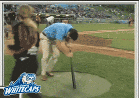 grand rapids falling GIF by West Michigan Whitecaps 
