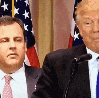 Shocked Donald Trump GIF