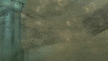 memorable  GIF