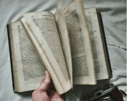 posesoul book pages GIF
