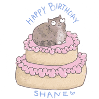 Happy Birthday Cat GIF by Lisa Vertudaches