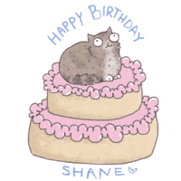 Happy Birthday Cat Gifs Get The Best Gif On Giphy