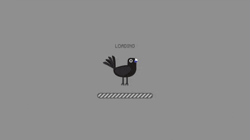 kenzo  GIF