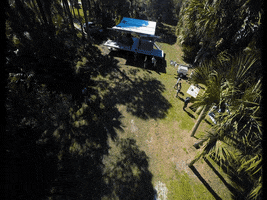 okeechobeefest festival okeechobee omf2016 jungle 51 GIF