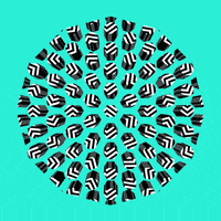 200.gif?cid=fc005b082c191c97aa4c0f90a8c82aec371bbe646be75ce3&rid=200.gif&ct=g