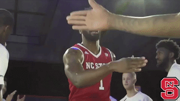 nc state wolfpack GIF by NC State Athletics