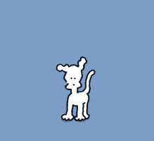 dance dancing GIF by Chippy the dog