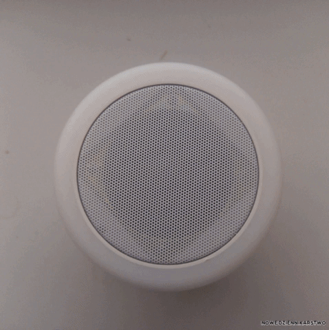 Biedronka Lampka GIF