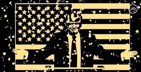 donald trump GIF