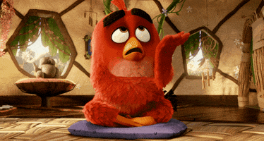 facepalm GIF by Angry Birds