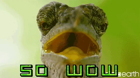 Its Beautiful Wow GIF