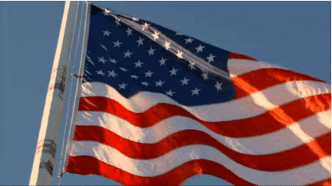 Flag-day GIFs - Get the best GIF on GIPHY