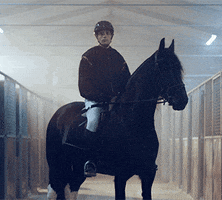 Ride Or Die Horse GIF by NOHAU