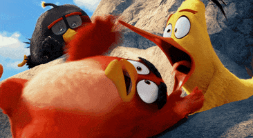 squawk GIF by Angry Birds