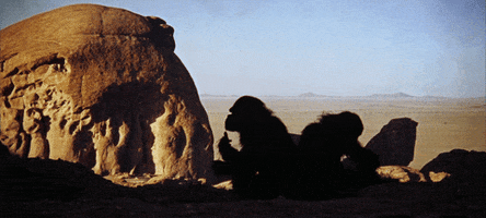 gifodyssey gifodyssey GIF