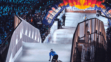 lose too late GIF by Red Bull