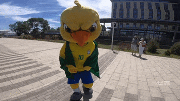 Copa Do Mundo GIF by Confederação Brasileira de Futebol