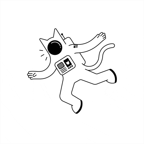 Cat Space GIF by Lost Cat™