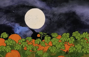 Pumpkin Patch GIF by Halloween