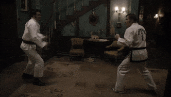 martial arts karate GIF by What We Do In The Shadows