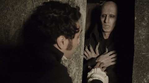 Image result for what we do in the shadows gif