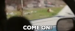 come on GIF