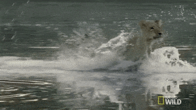 Proposée par une anonyme Quel est le pire pour toi  Subir la mort dun proche en