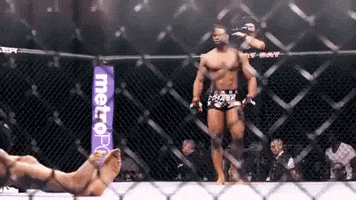 200.gif?cid=fc005b082f533cfdc1f69fede319fa9a395a099705fa470f&rid=200.gif&ct=g