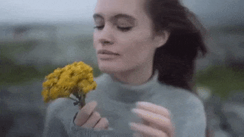 Flowers Mimosa GIF by EDEN