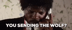 100.gif