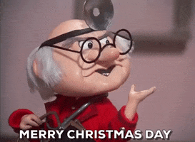 Movie gif. Doctor in The Year Without Santa Claus is speaking very seriously with an arm raised for emphasis before he ambles off. Text, "Merry Christmas Day."