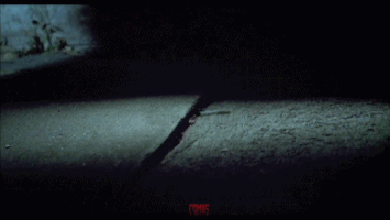 aarondillon  GIF