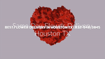 Best Flower Delivery Houston GIF