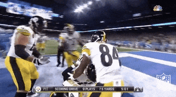 Do You Even Lift Pittsburgh Steelers GIF by NFL